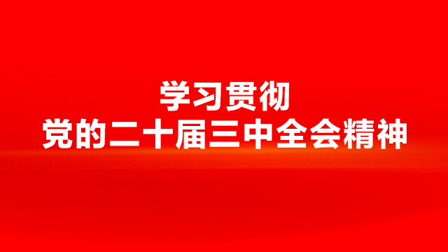 凝聚奮進力量 譜寫發(fā)展新篇——學習貫徹黨的二十屆三中全會精神省委宣講團在馬宣講側(cè)記